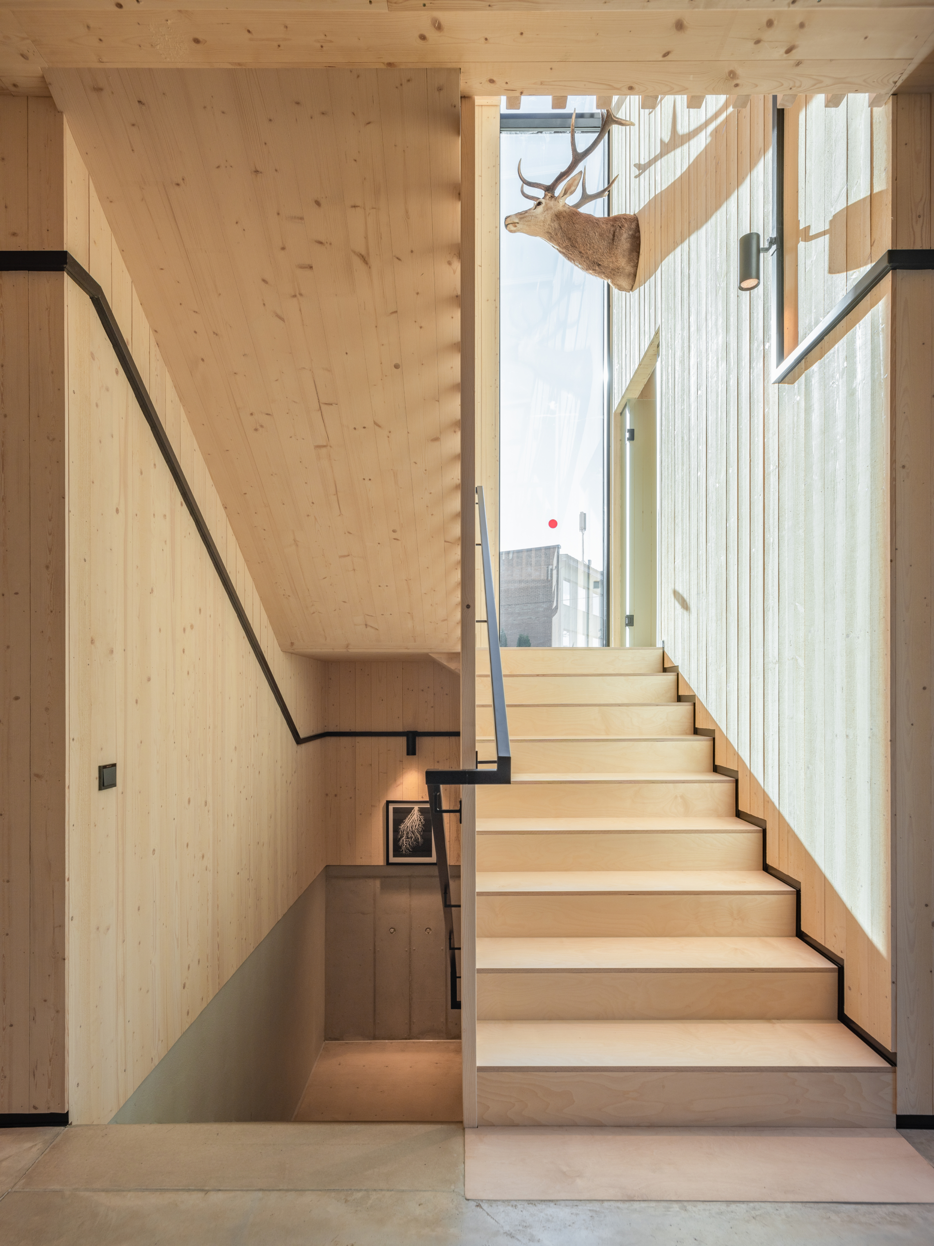 Tartu RMK Büroohoone foto 5